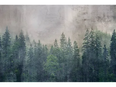 Zdjęcie produktu dla Fototapeta Dimex ART MS-5-0353 Mglisty las 375 x 250 cm