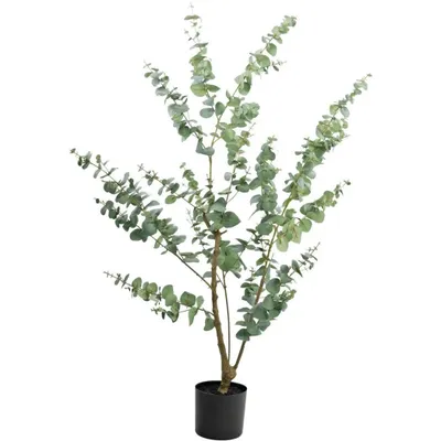 Produktbild von Kunstpflanze Eukalyptus 150 cm