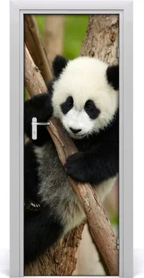 Produktbild von Tulup Türaufkleber 75x205 cm Dekorative Aufkleber Selbstklebend Wasserdichte Tapete Abnehmbar Schlafzimmer Wohnzimmer Wohnkultur - Panda in einem Baum