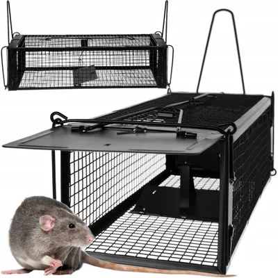 A live trap for rodents is shown with a rat in the foreground.