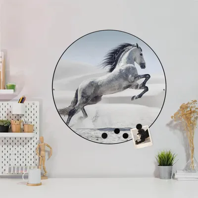 Produktbild von Design Stahlmagnettafel Schwarz Rund 47cm Wildes Pferd
