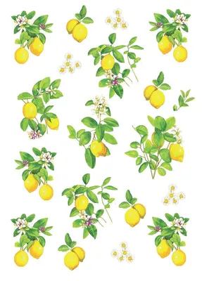 Produktbild von Geschirrtuch Zitronenblüte Zitronen Geschirrtücher Mitbringsel Geschenkidee