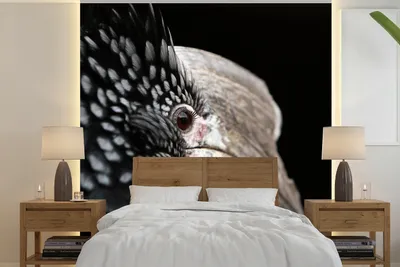 Produktbild von MuchoWow® Fototapete für Wohnzimmer oder Schlafzimmer Wandtapete Vinyl Motivtapete Vogel - Schnabel - Federn - 300x300 cm - Wanddekoration