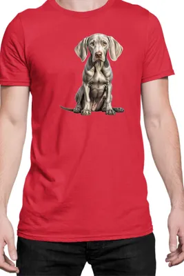Obrázok produktu pre Mužské Tričko Dogs Breeds Weimaraner Dog Breed 006, Man L / Červená