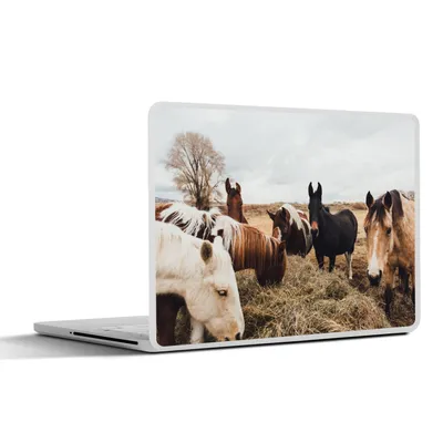 Produktbild von MuchoWow® Laptop Aufkleber Sticker Cover Tiere - Pferd 32.5x23.5 cm - Sticker für Laptop - Selbstklebend