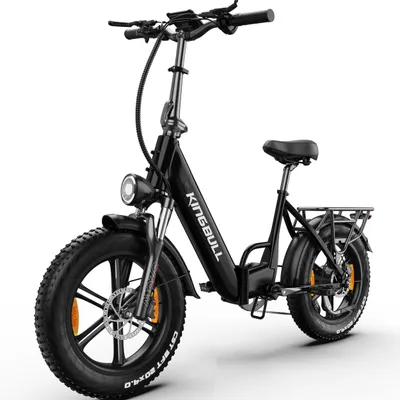 Produktbild von E-Bike Cityrad KLR herren Elektrofahrrad 648WH cityrad 20×4.0damen 13.5AH max.100km Kettenschaltung, Heckmotor, 648Wh, Beleuchtungsset mit Batterielad