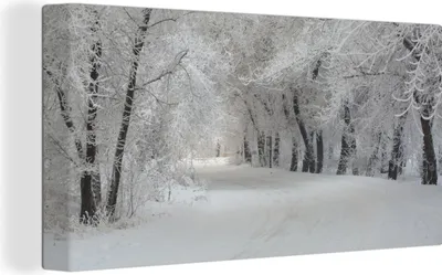 Produktbild von MuchoWow® - Leinwandbilder - Bäume - Schnee - Winter, Wandbild, Wanddeko Bilder Wohnzimmer, 40x20 cm