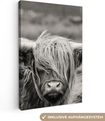 Produktbild von MuchoWow® - Leinwandbilder - Schottischer Highlander - Kuh - Tiere - Schwarz-Weiß - Ländlich, Wandbild, Wanddeko Bilder Wohnzimmer, 60x90 cm