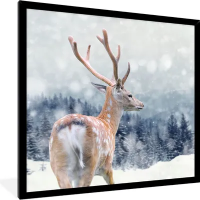 Produktbild von MuchoWow® Gerahmtes Poster Winter - Hirsche - Tiere 40x40 cm - Poster mit Schwarzem Bilderrahmen Wandposter Rahmen Foto Bilder - Mit Rahmen - Wanddekoration Schlafzimmer