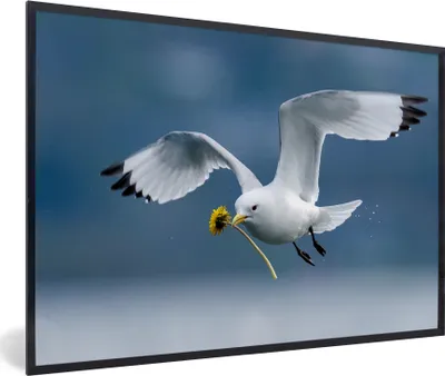 Produktbild von MuchoWow® MuchoWow® Gerahmtes Poster Möwe - Löwenzahn - Vogel 30x20 cm - Poster mit zchwarzem Bilderrahmen - Kunstdruck - Bild-Poster