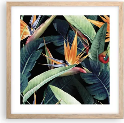 Produktbild von Gerahmtes Poster - Rahmen in heller Eiche - Pflanze Tropisch Blume - 40x40 cm - Wand Bild - Wanddeko - Wandbilder - Kunstposter - Wandposter - Bilderrahmen - Bilder - Kunstdruck - P2NAC40x40-5093