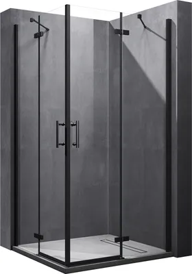 A black framed glass shower enclosure against a grey concrete wall.