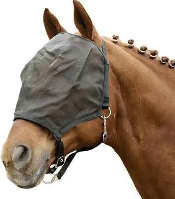 Immagine prodotto di Cavezze con maschera antimosche, colore: nero, taglia: cavalli a sangue caldo