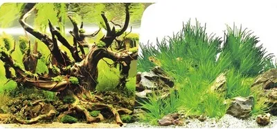Produktbild von Fotorückwand Motiv 10 100x40 cm