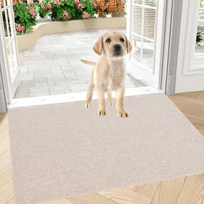 Productafbeelding van Schoonloopmat voor binnen en buiten, 80 x 120 cm, beige, antislip, wasbaar, waterdicht