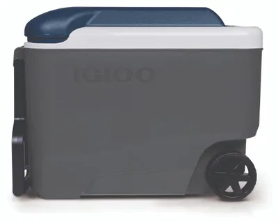 Produktbild von Igloo Maxcold 40qt Roller - 37 Liter