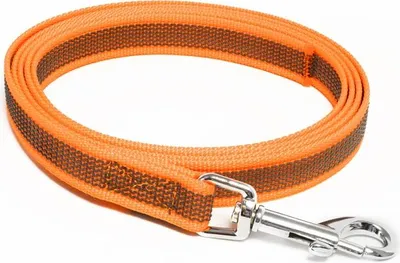 Produktbild von Mystique® Gummierte Leine 20mm mit Handschlaufe Standard Karabiner neon orange 3m