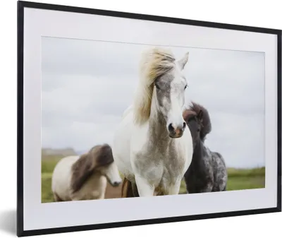 Produktbild von MuchoWow® Gerahmtes Poster Pferde - Wolken - Island 60x40 cm - Poster mit Schwarzem Bilderrahmen Wandposter Rahmen Foto Bilder - Schlafzimmer - Plakat in Rahmen - Drucken