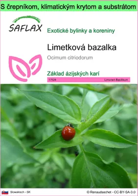 Obrázok produktu pre SAFLAX Garden to go - Limetková bazalka - Ocimum citriodorum - 200 Semená - S črepníkom, klimatickým vekom a pestovateľským substrátom