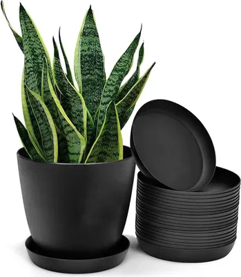 Zdjęcie produktu dla Podpórki do roślin – 20 sztuk – okrągłe – 12,3 cm – tworzywo sztuczne