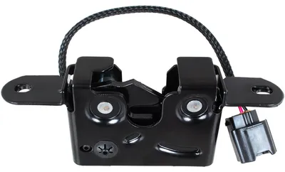 Productafbeelding van Motorruimtevergrendeling met kabel voor Renault Master III bestelwagen, bouwjaar 2010/02 - 2014/06