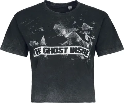 Produktbild von The Ghost Inside T-Shirt Damen Barbed Chain grau M