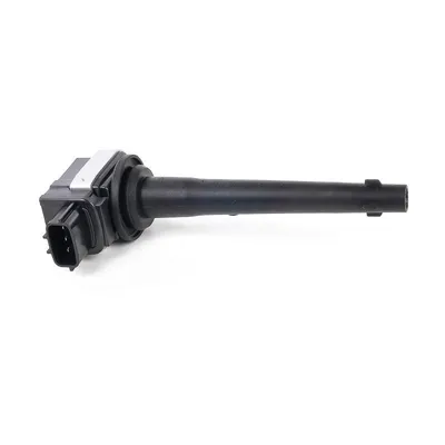 Produktbild von DELPHI GN10317-12B1 Zündspule 12V für NISSAN Qashqai / Qashqai +2 I (J10, NJ10) für RENAULT Clio III Schrägheck (BR0/1, CR0/1)