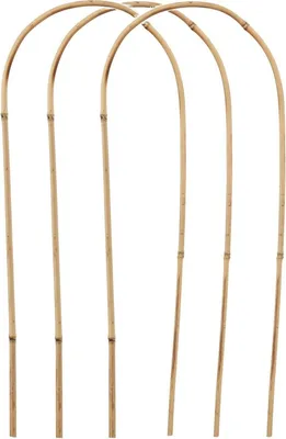 Four arched bamboo stakes are arranged in a row against a white background.