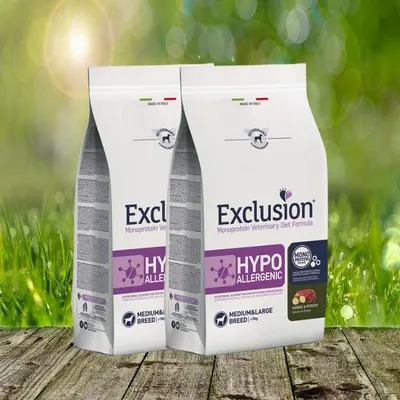 Produktbild von Hypoallergenic Pferd & Kartoffel Medium/Large Breed 2 x 12 kg