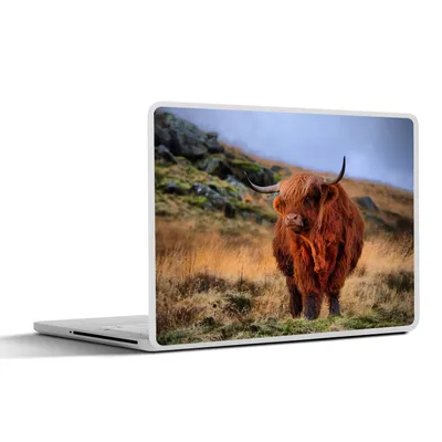 Produktbild von MuchoWow® Laptop Aufkleber Sticker Cover Schottische Highlander - Gras - Steine 30x21 cm - Sticker für Laptop - Selbstklebend