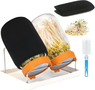 Image de Solidchoice - Germoir en verre avec filtre en acier inoxydable, idéal pour les graines germées