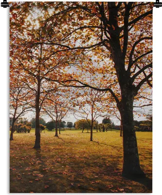 Produktbild von MuchoWow® Wandteppich Wandbehang Herbst - Herbstblätter - Natur 60x80 cm Tapisserie Dekoration Wandtuch - Decke - Wandtücher - Wohne