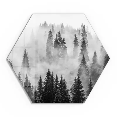 Produktbild von DEQORI Glasbild Echtglas 55x48 cm 'Flüsternde Tannen' Wandbild Bild modern Deko