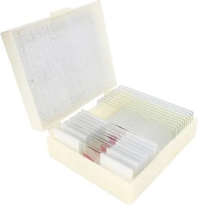 Image de Kit de préparation en cône Botanica 1, 15 pièces.
