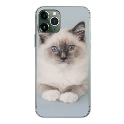 Produktbild von MuchoWow® Handyhülle Schutzhülle Hülle für iPhone 11 Pro Katze - Ragdoll Katze - Blau - Mädchen - Kinder - Jungen - Kind Silikon Softcase Handy Hülle - Handy