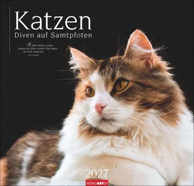 Produktbild von Katzen - Diven auf Samtpfoten Kalender 2027 - Diven auf Samtpfoten
