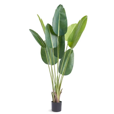 Zdjęcie produktu dla VEVOR Bird of Paradise Sztuczna roślina 700x700x1524mm Sztuczna roślina PE Sztuczne rośliny Plastikowe rośliny w doniczce Sztuczny kwiat Bezwonny Wodoodporny Idealna dekoracja do sypialni gabinet salon
