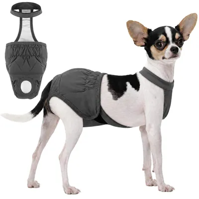 Produktbild von Waschbare Hundehosen für Hündinnen – verstellbar und atmungsaktiv