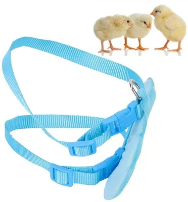 Obrázek produktu pro Odolný vodítko pro psy – modré barvy – velikost S – postroj pro psy