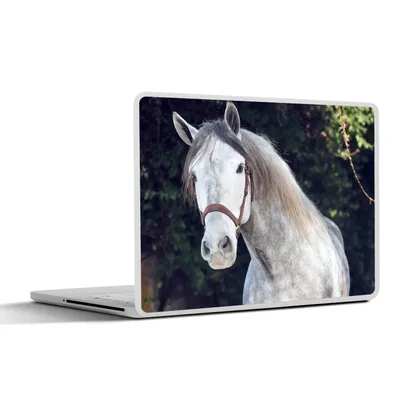 Produktbild von MuchoWow® Laptop Aufkleber Sticker Cover Pferd - Halfter - Natur 25x18 cm - Laptop-Deko