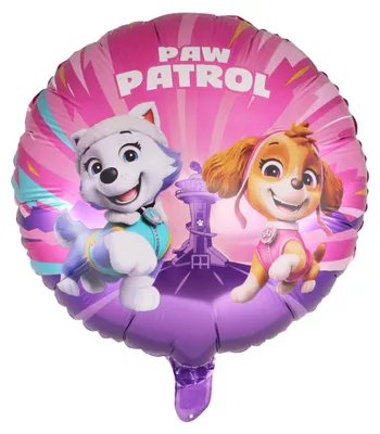 Image de Ballon en aluminium PAW Patrol rose 43 cm -