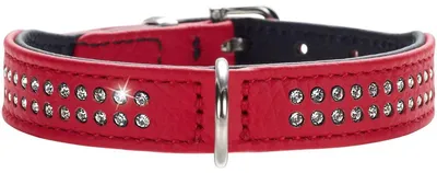 Produktbild von HUNTER Diamond Petit Hundehalsband für kleine Hunde