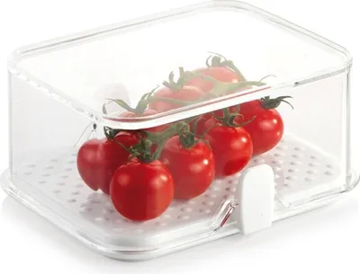 Produktbild von Tescoma Gesunde Kühlschrank-Dose PURITY 14x11 cm