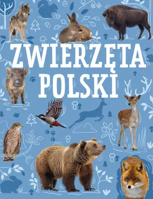 Image de Atlas Zwierząt - publikacja popularnonaukowa