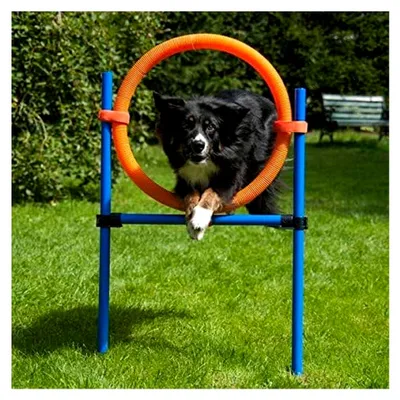 Produktbild von Hund Agility Sprungring, Stangenhöhe 86 cm, Ring Ø 50 cm, mit Tragetasche