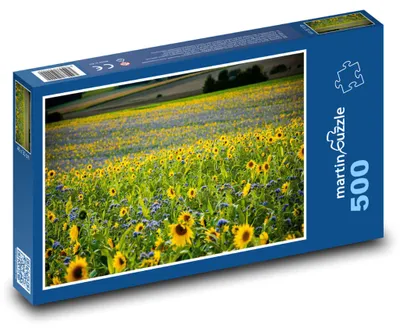 Zdjęcie produktu dla Puzzle 500 Kwitnąca łąka ze słonecznikami - martinpuzzle