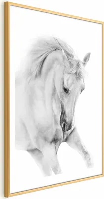 Produktbild von Posterpapier Poster - White Horse 21x30 cm Tiere g-B-0110-ao-a