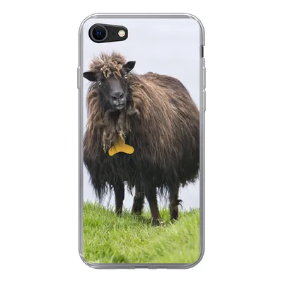 Produktbild von MuchoWow® Handyhülle Schutzhülle Hülle für iPhone 8 Schafe - Braun - Meer Silikon Softcase Handy Hülle - Schutzhaube