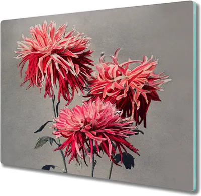 Produktbild von Coloray Schneidebrett Herdabdeckplatte 60x52 cm Kochplattenabdeckung Küchenbrett Hackbrett - Blumen Pflanzen