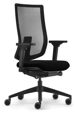 Ergonomischer Bürostuhl, Netzrückenlehne, höhenverstellbar, schwarz